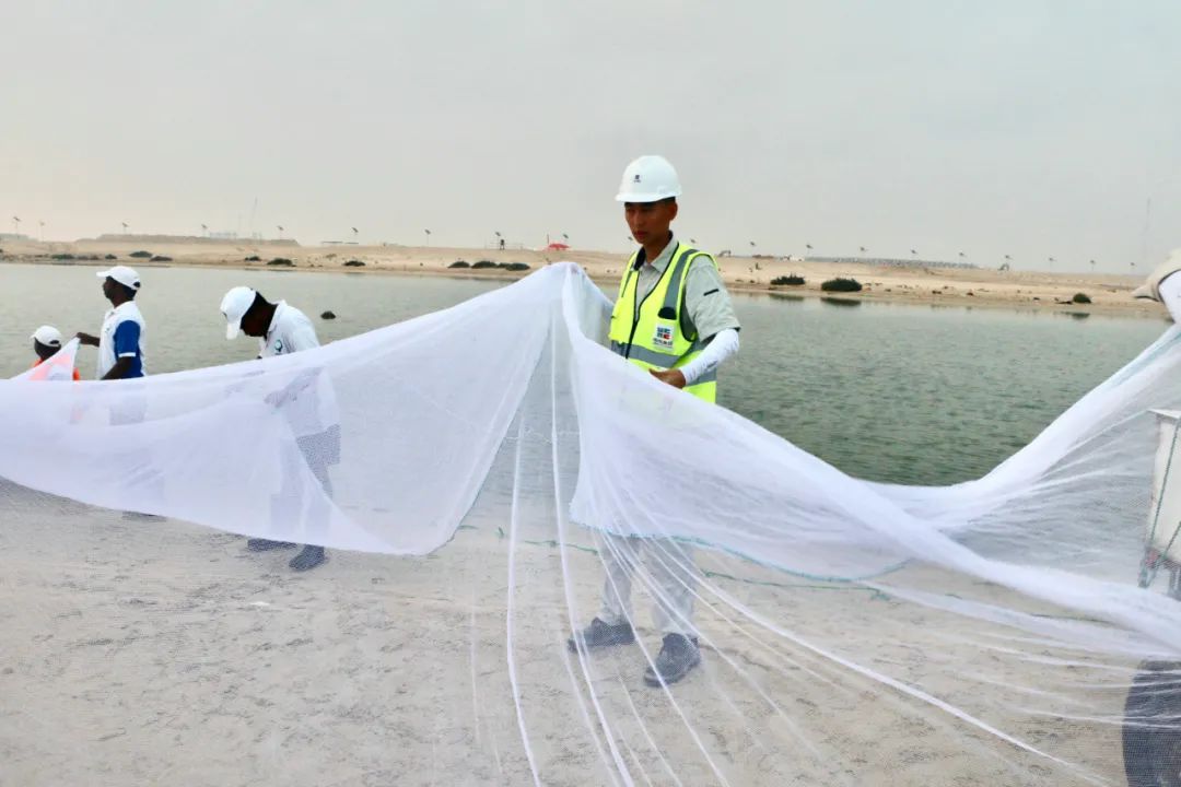 yl6809永利(中国游)官方网站