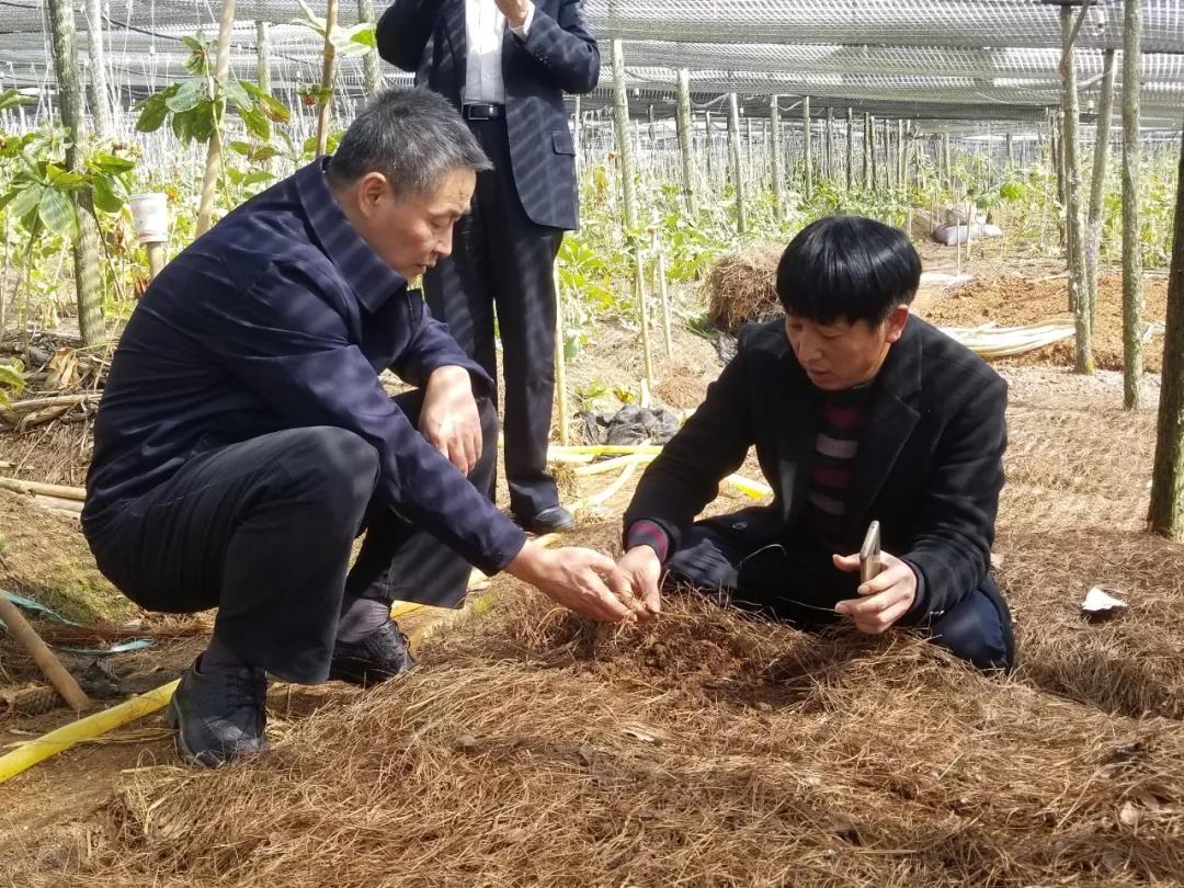 yl6809永利(中国游)官方网站