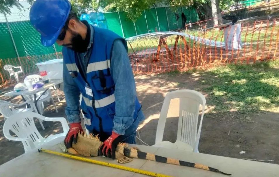 yl6809永利(中国游)官方网站