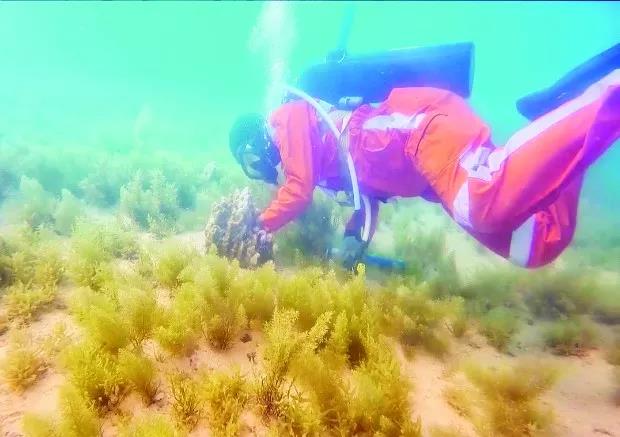 yl6809永利(中国游)官方网站