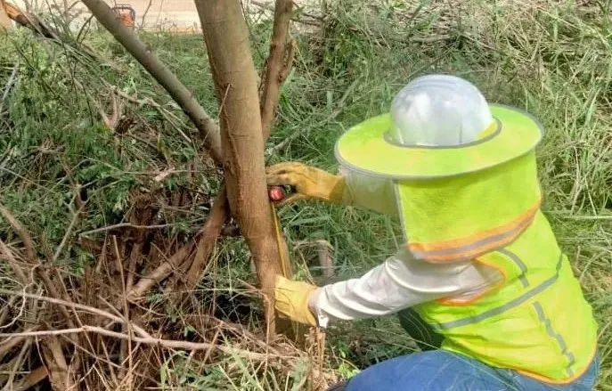 yl6809永利(中国游)官方网站