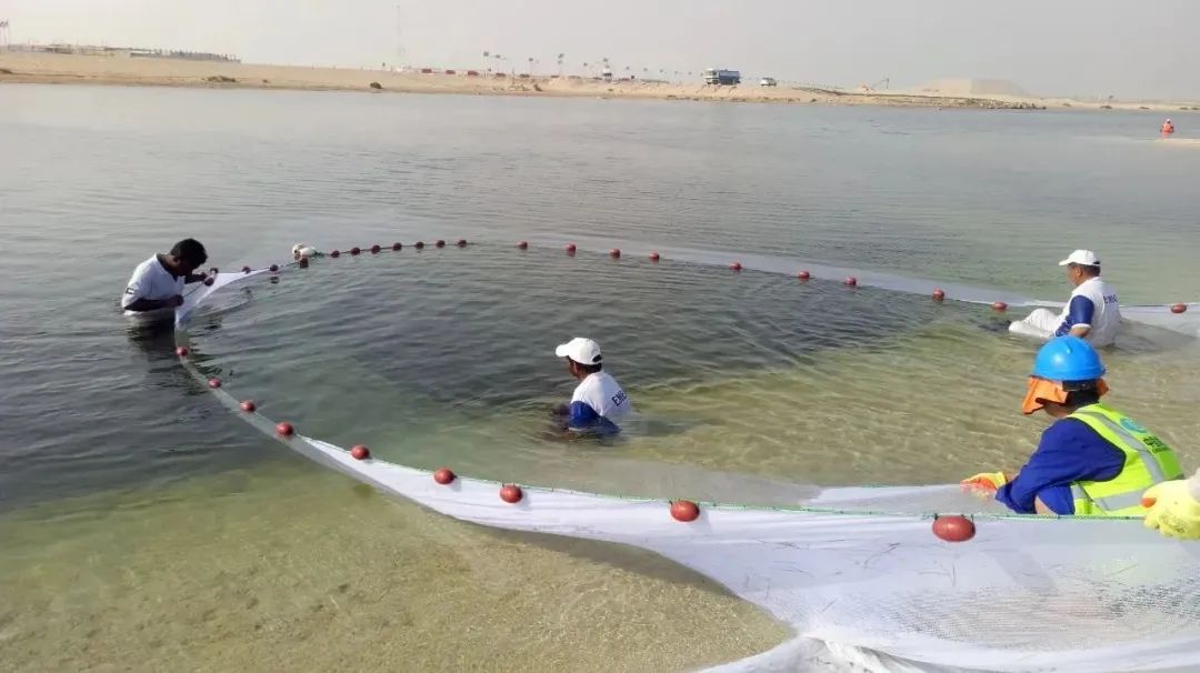 yl6809永利(中国游)官方网站