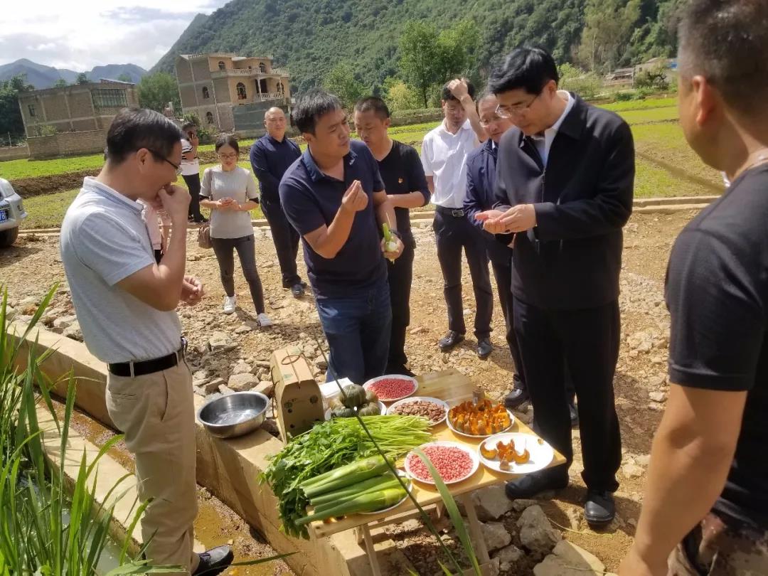 yl6809永利(中国游)官方网站