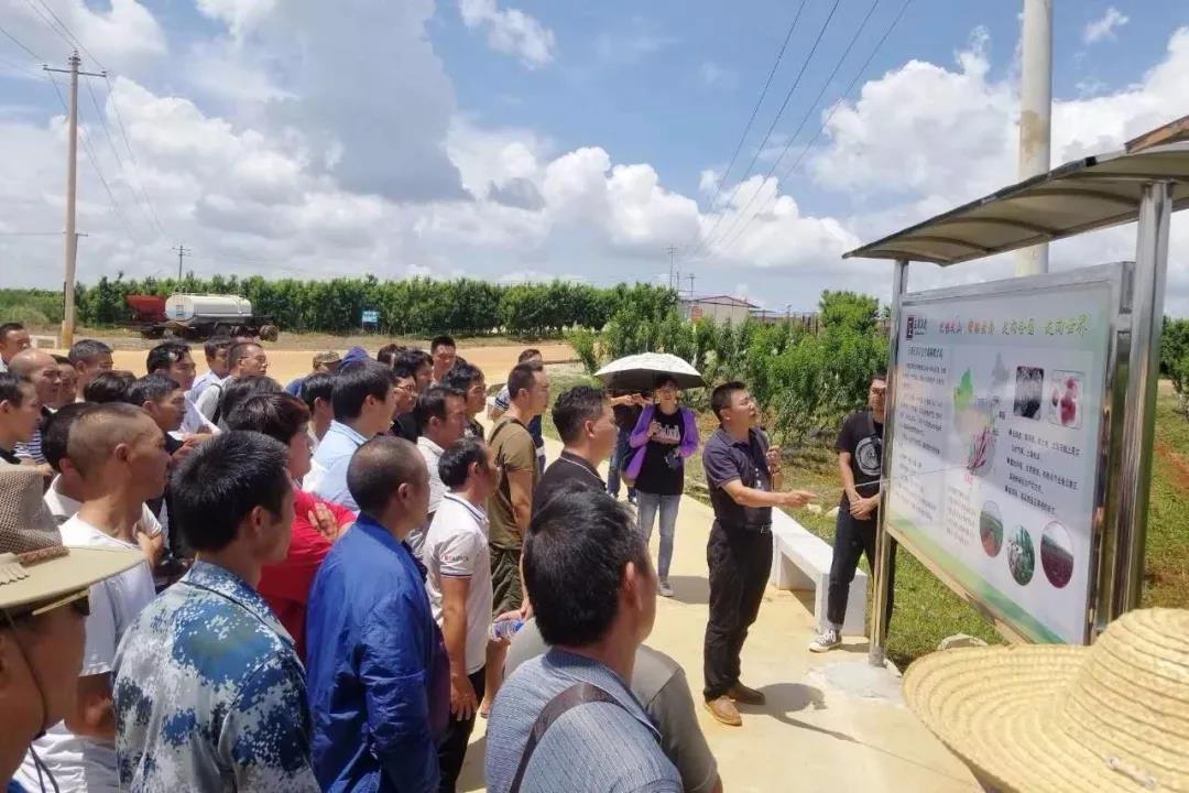 yl6809永利(中国游)官方网站