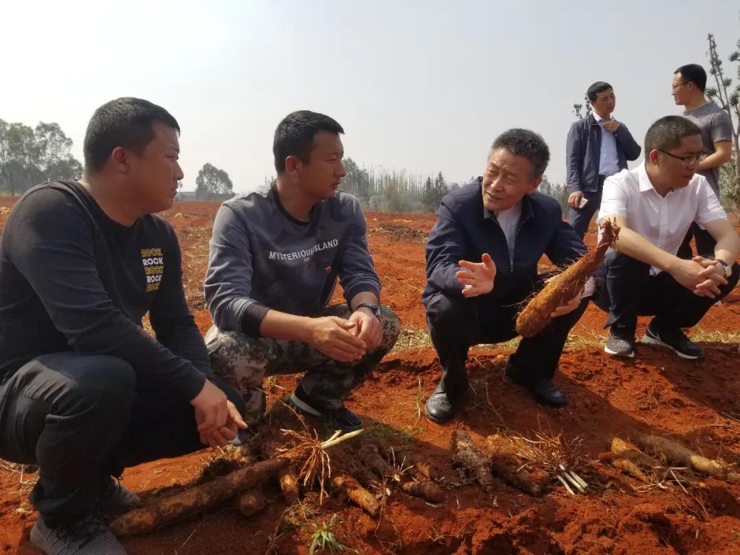 yl6809永利(中国游)官方网站